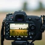 manual mode bird photography