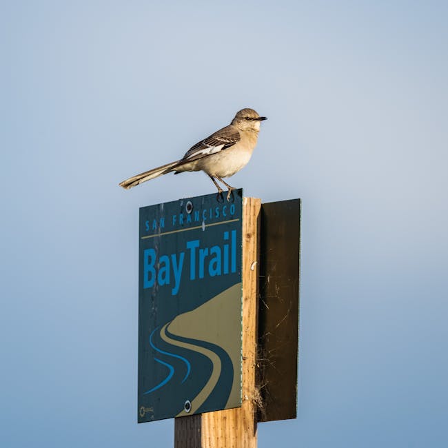 urban birding locations list