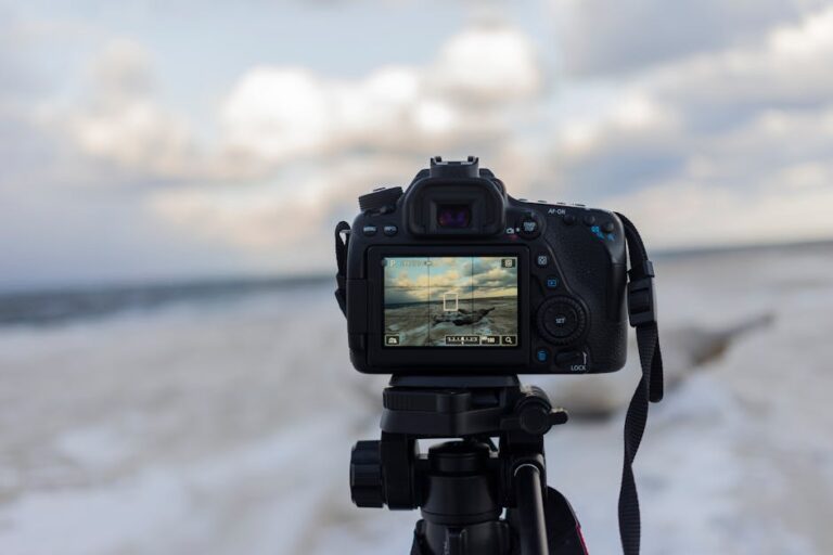 rule of thirds photography