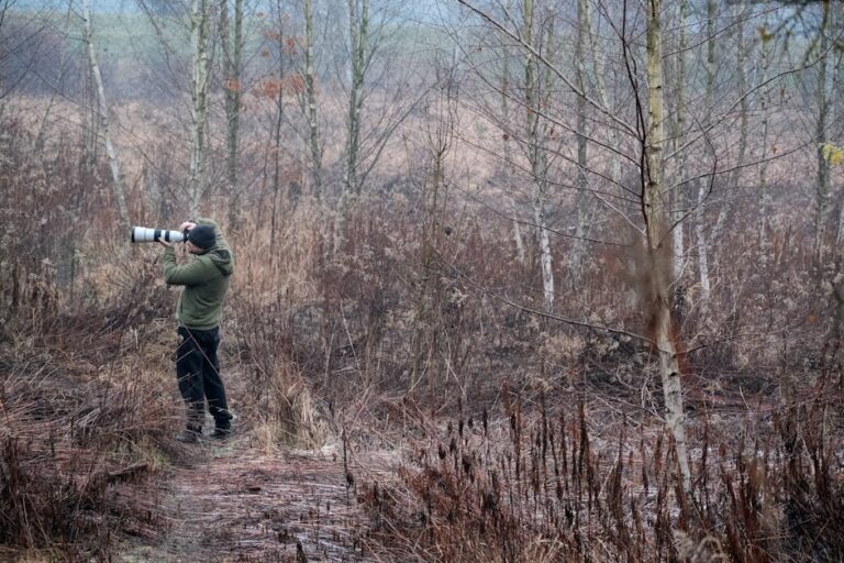 wildlife photography course