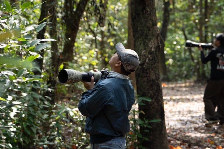 best camera settings for birding