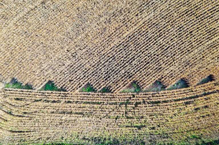 drone photography crop ratios