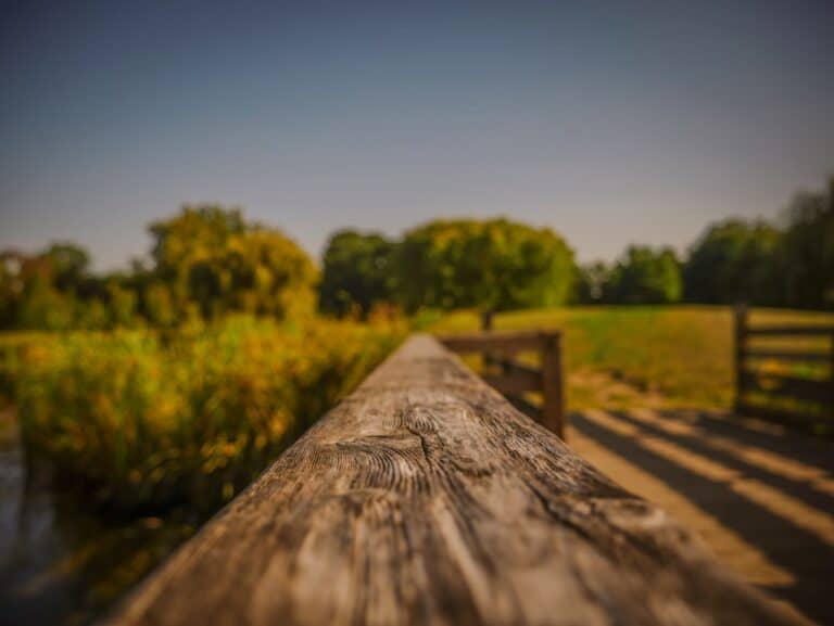 composition leading lines