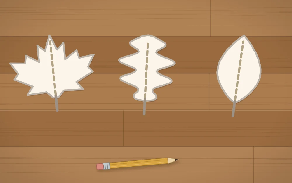 Three paper leaf templates in a row: a maple leaf, an oak leaf and a pointed oval leaf