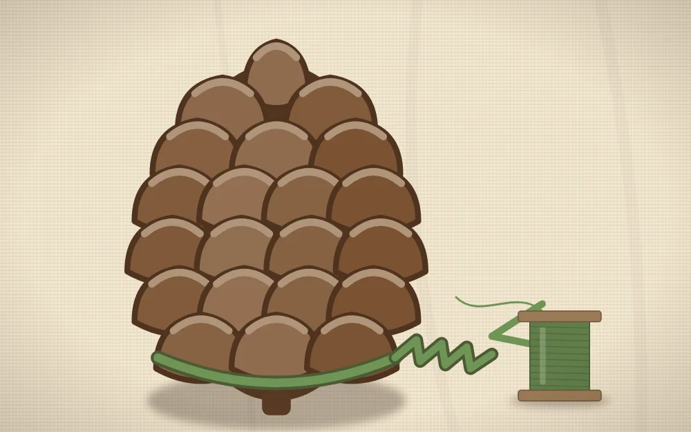 A close view of a pinecone with wire wrapped around its lowest row of scales and the two wire ends twisted together